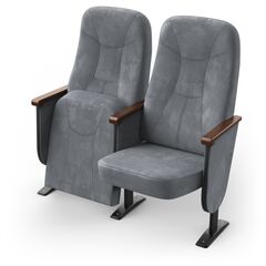 Крісло Парламент (2 секції, сірий колір), Стійка: 101 (з кріпленням до підлоги) 