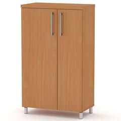 Тумба напольная-2 МГ-2, Цвет: Бук 