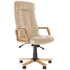 Крісло офісне ATLANT extra Anyfix EX1 