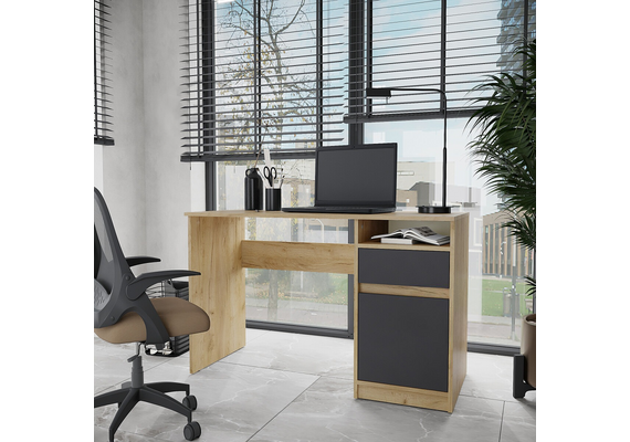 Стіл письмовий Аспірант, Колір стільниці: Крафт комбі - фото 3