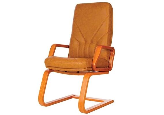 Офісне крісло на полозах MANAGER extra CF 