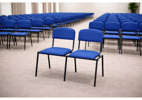 Стільці секційні 2-місні Еліс - фото 2