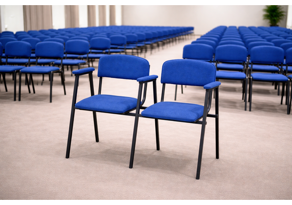 Стільці секційні 2-місні Еліс Плюс - фото 2