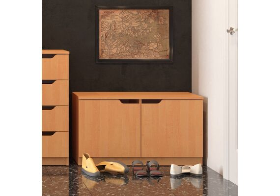 Низкая тумба для обуви ТО-13, Цвет: Дуб сонома - фото 2